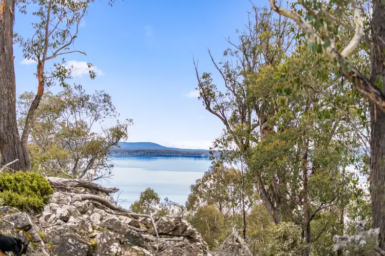 Third view of Homely rural property listing, 10 Arthurs Lake Road, Wilburville TAS 7030