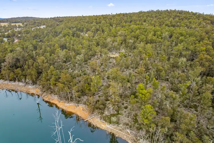 Sixth view of Homely rural property listing, 10 Arthurs Lake Road, Wilburville TAS 7030