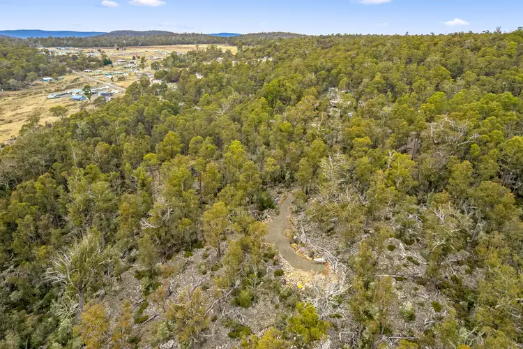 Seventh view of Homely rural property listing, 10 Arthurs Lake Road, Wilburville TAS 7030