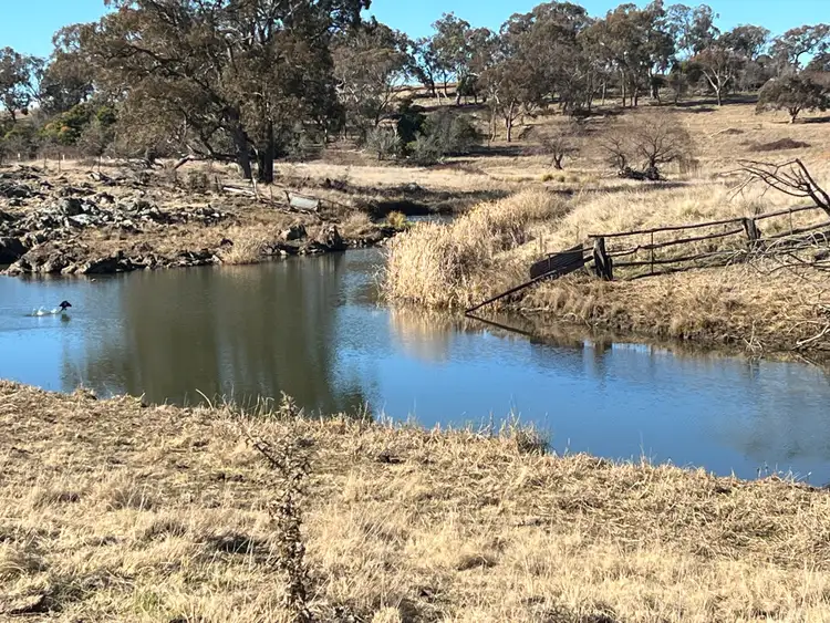 Second view of Homely rural property listing, 5107 Kings Plains Road, Wellingrove NSW 2370