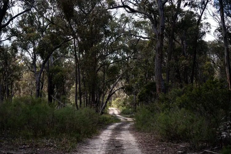 1331 Mount McKenzie Road, Tenterfield NSW 2372