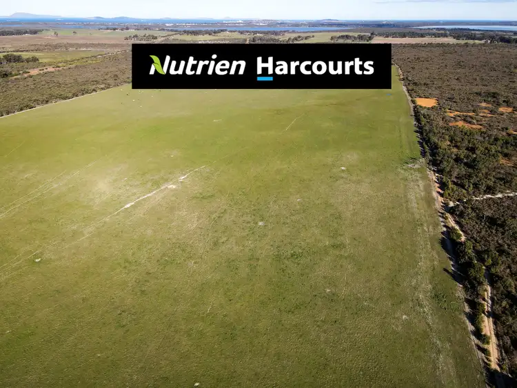 Main view of Homely rural property listing, Lot 30 Old Shark Lake Road, Monjingup WA 6450