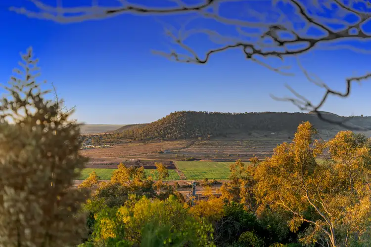 Second view of Homely house listing, 20 Linora Drive, Gowrie Mountain QLD 4350