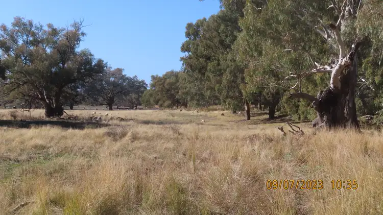 Sixth view of Homely rural property listing, * RiverGum, Tilpa NSW 2840