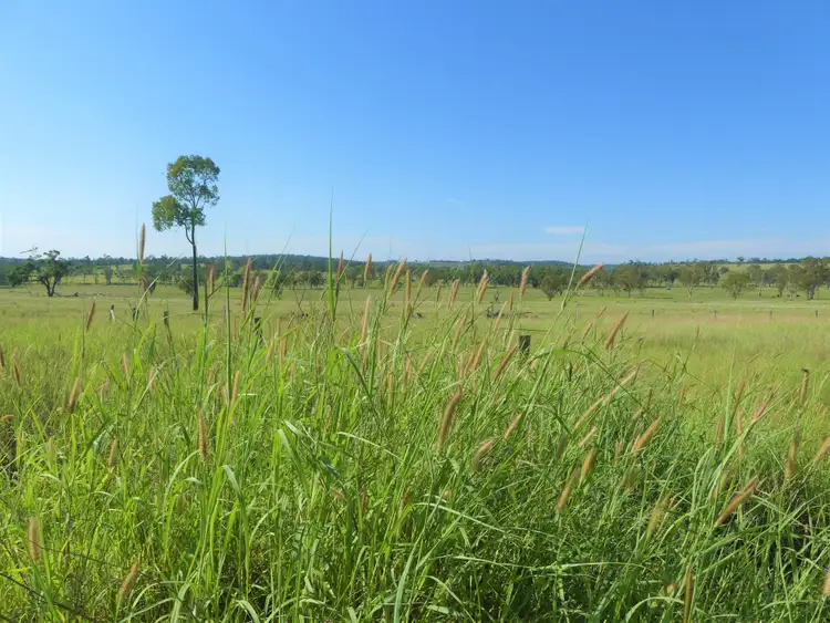 Second view of Homely rural property listing, 'Omeo' 1183 Westgrove Road, Injune QLD 4454