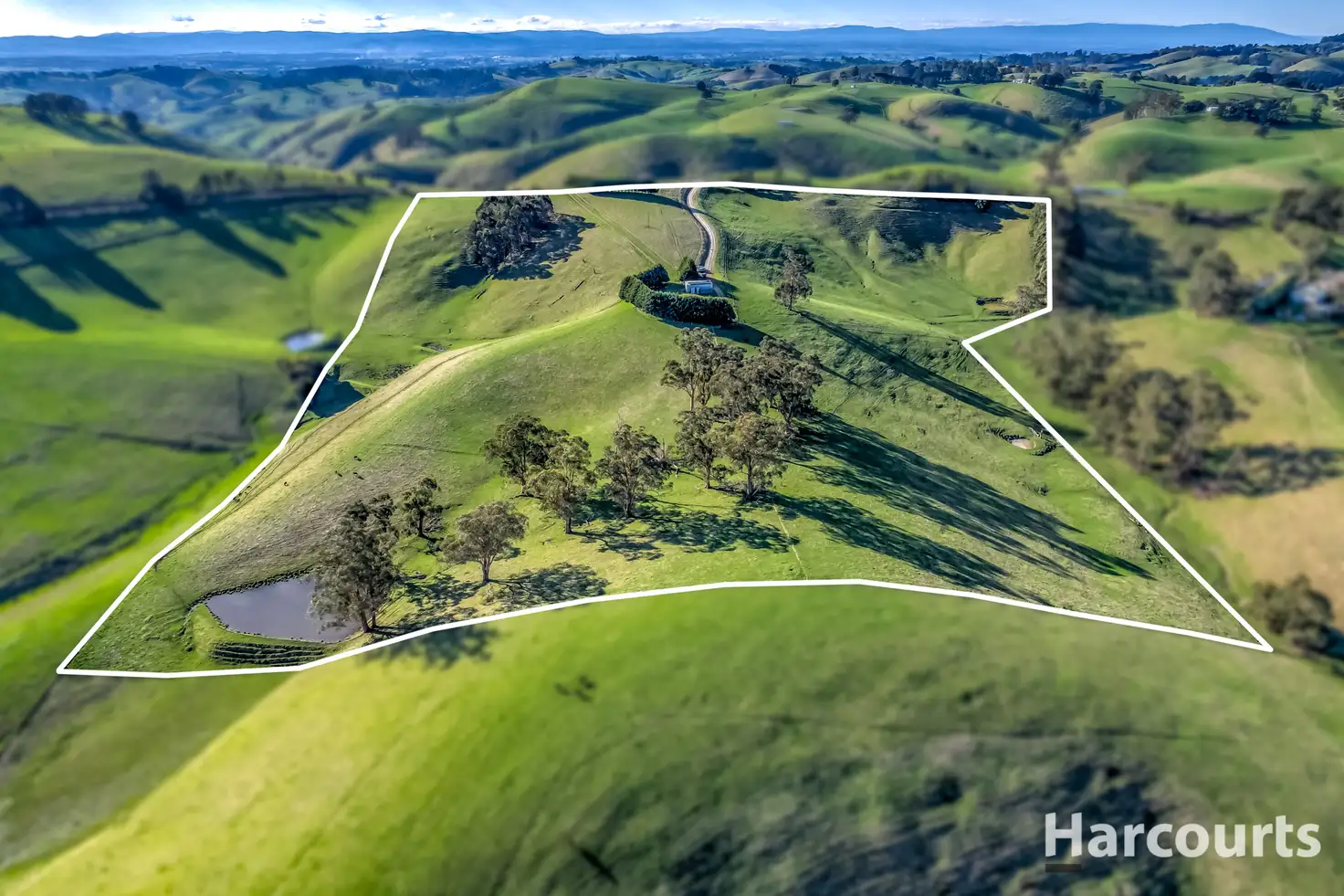 Main view of Homely rural property listing, 91 Mountain View - McDonalds Track, Mountain View VIC 3988