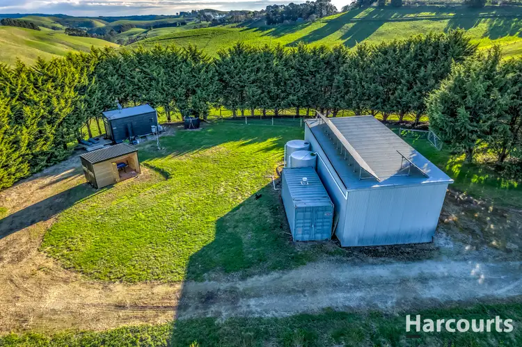Fourth view of Homely rural property listing, 91 Mountain View - McDonalds Track, Mountain View VIC 3988