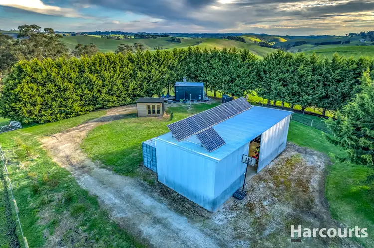 Fifth view of Homely rural property listing, 91 Mountain View - McDonalds Track, Mountain View VIC 3988