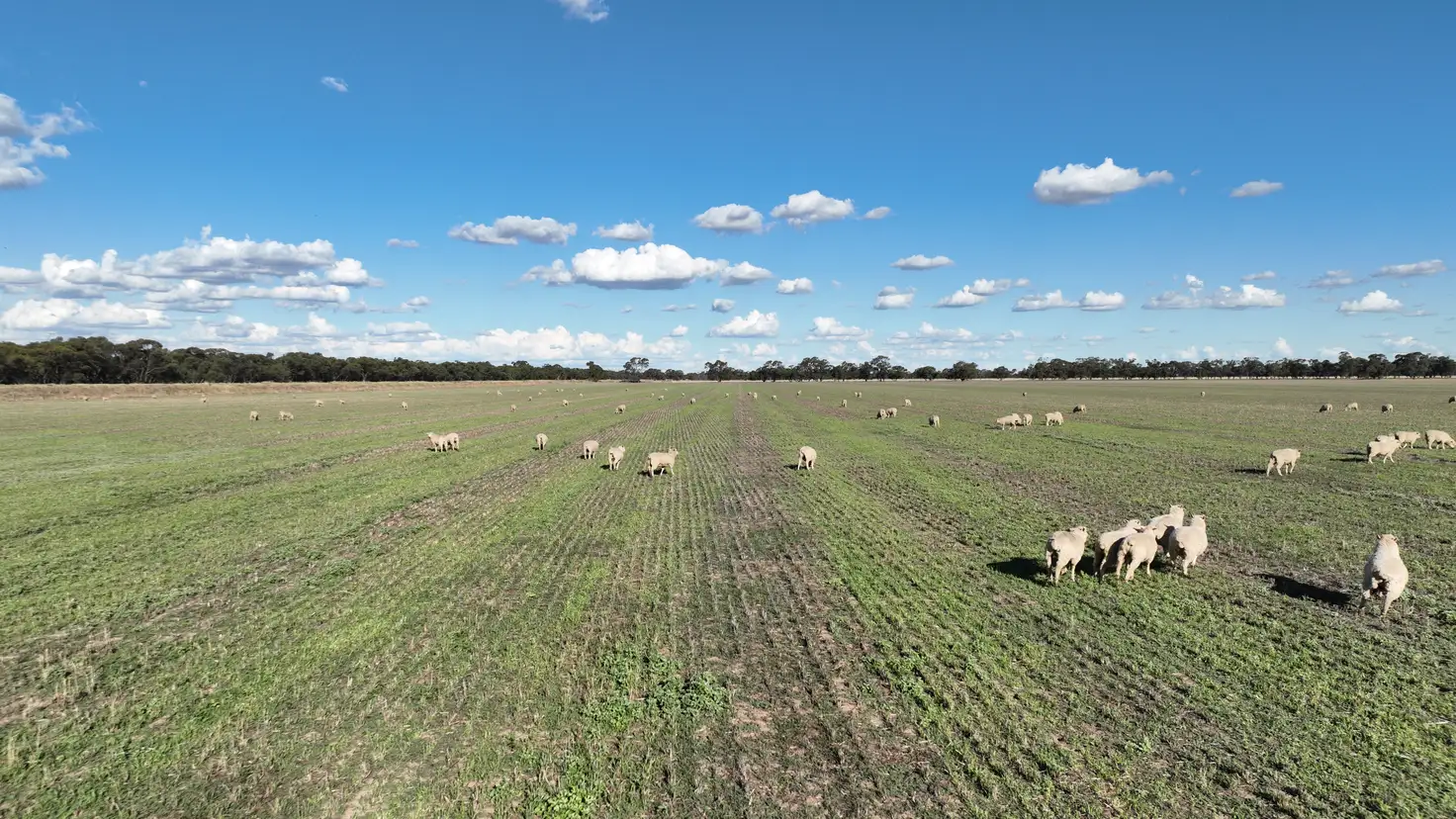 Main view of Homely rural property listing, "Goonwarra"/1 Warragoon Road, Deniliquin NSW 2710