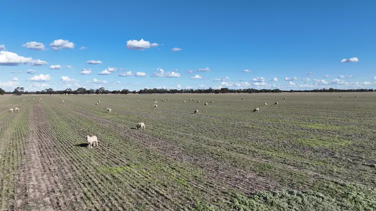 Seventh view of Homely rural property listing, "Goonwarra"/1 Warragoon Road, Deniliquin NSW 2710