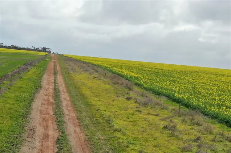Second view of Homely rural property listing, 515 Cuiss Road, Jacup WA 6337