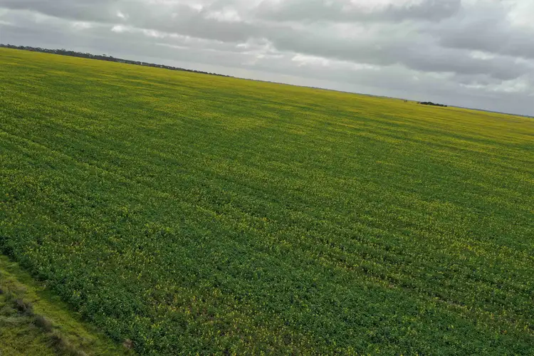 Third view of Homely rural property listing, 515 Cuiss Road, Jacup WA 6337