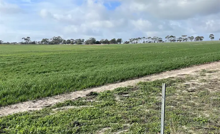 Fourth view of Homely rural property listing, 515 Cuiss Road, Jacup WA 6337