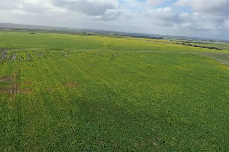 Sixth view of Homely rural property listing, 515 Cuiss Road, Jacup WA 6337