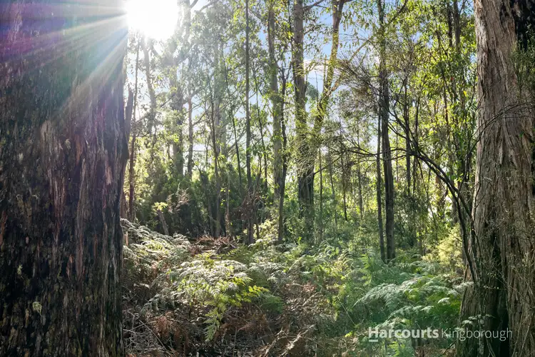 Lot 3 Snug Falls Road, Snug TAS 7054