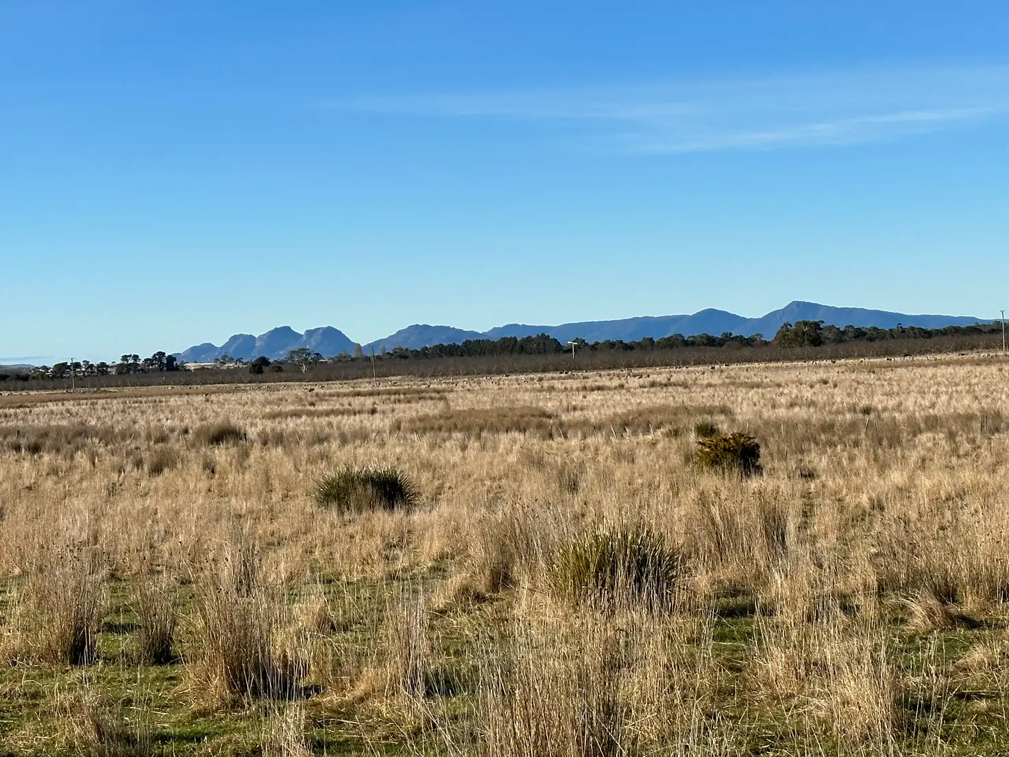 Main view of Homely rural property listing, . Tasman Highway, Swansea TAS 7190