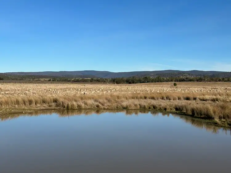 Third view of Homely rural property listing, . Tasman Highway, Swansea TAS 7190