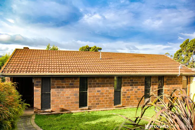 17 Armidale Street