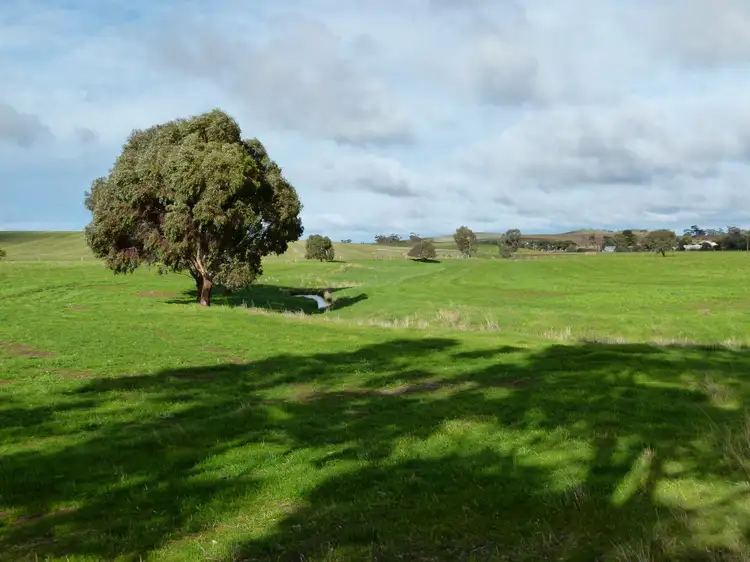 Main view of Homely rural property listing, 300 Mosey Road, Ngapala SA 5374
