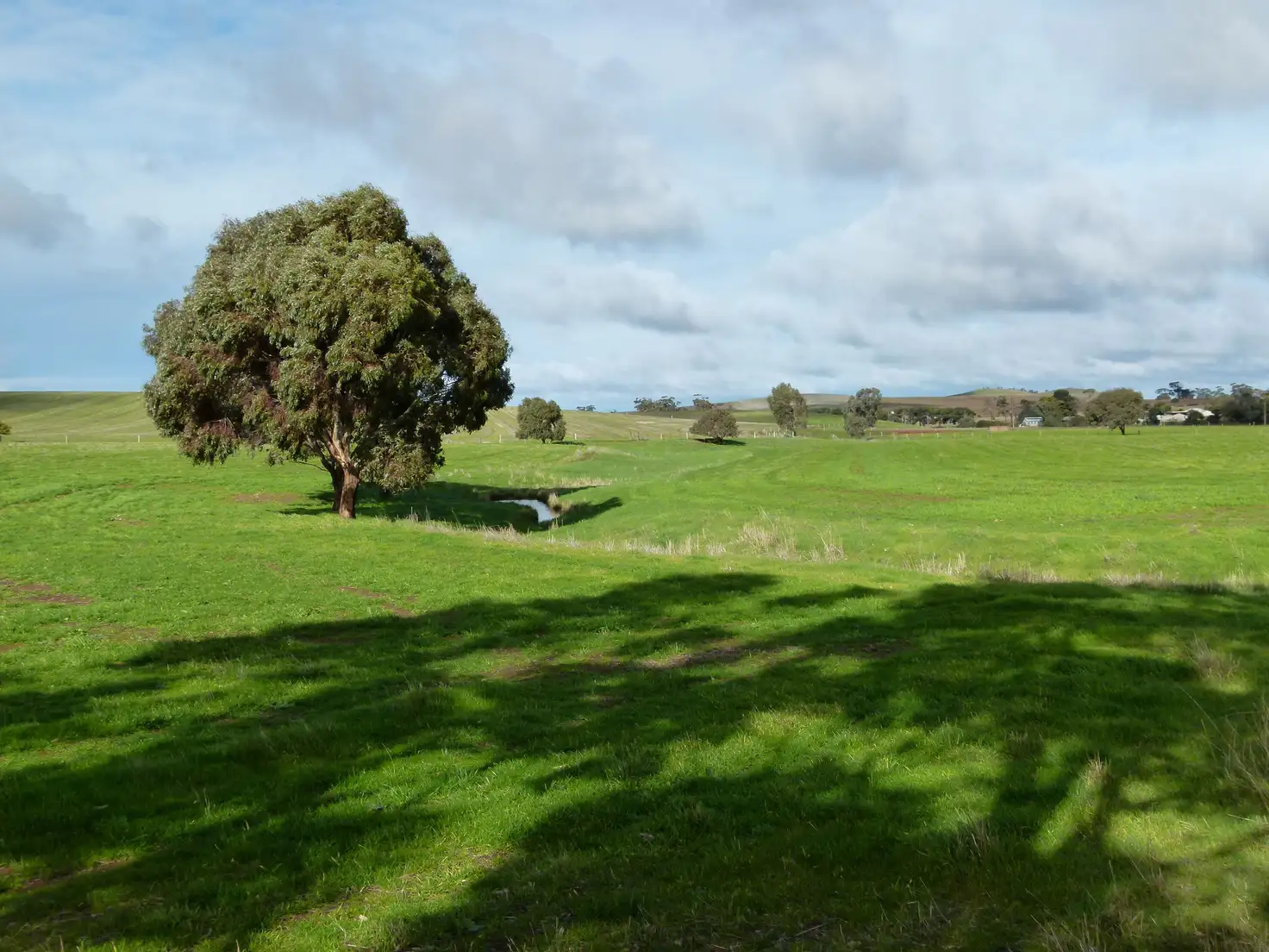 Main view of Homely rural property listing, 300 Mosey Road, Ngapala SA 5374
