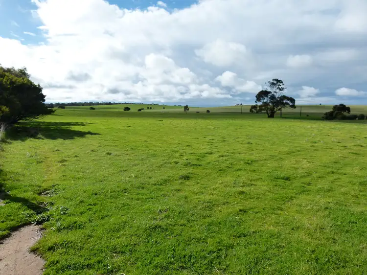 Second view of Homely rural property listing, 300 Mosey Road, Ngapala SA 5374