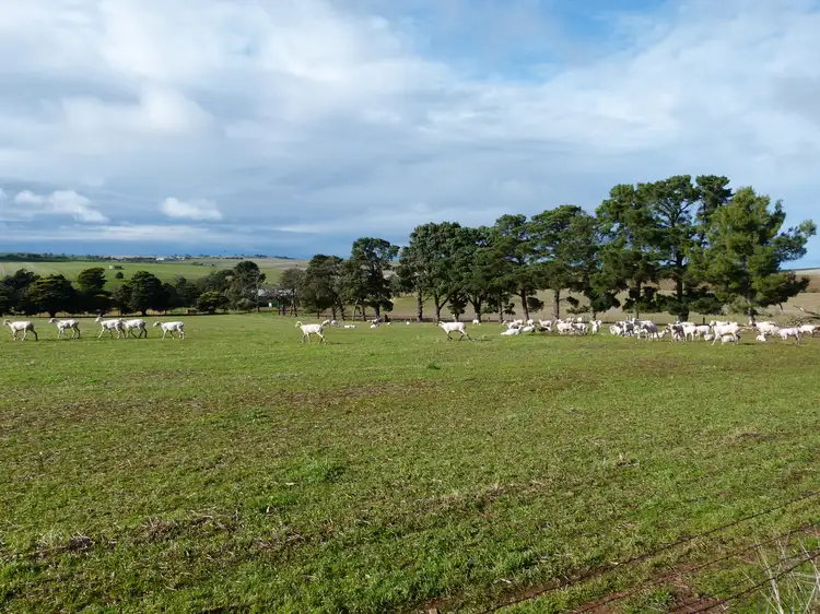 Fourth view of Homely rural property listing, 300 Mosey Road, Ngapala SA 5374