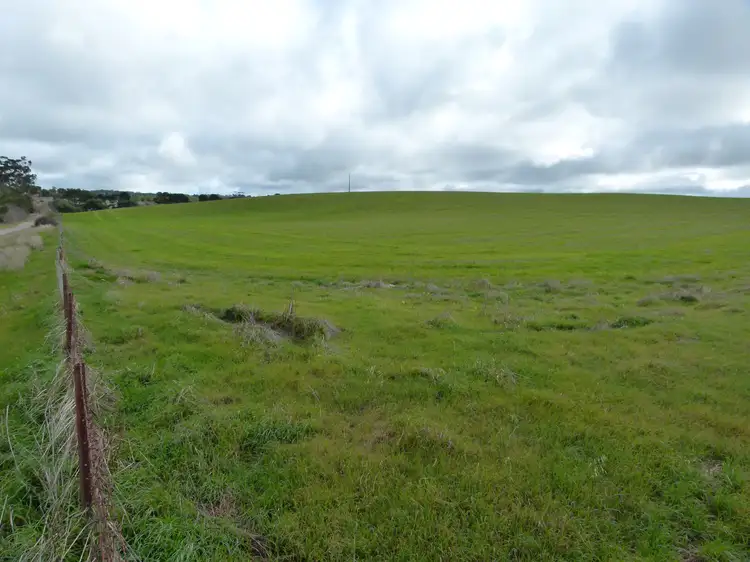 Fifth view of Homely rural property listing, 300 Mosey Road, Ngapala SA 5374