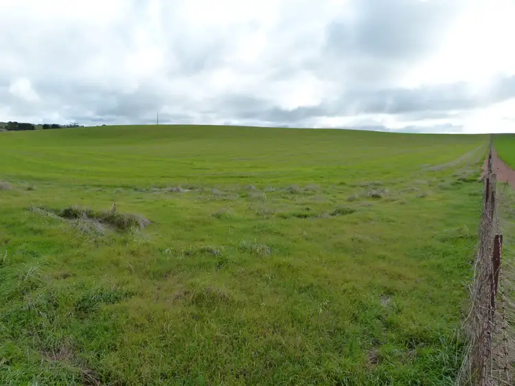 Sixth view of Homely rural property listing, 300 Mosey Road, Ngapala SA 5374