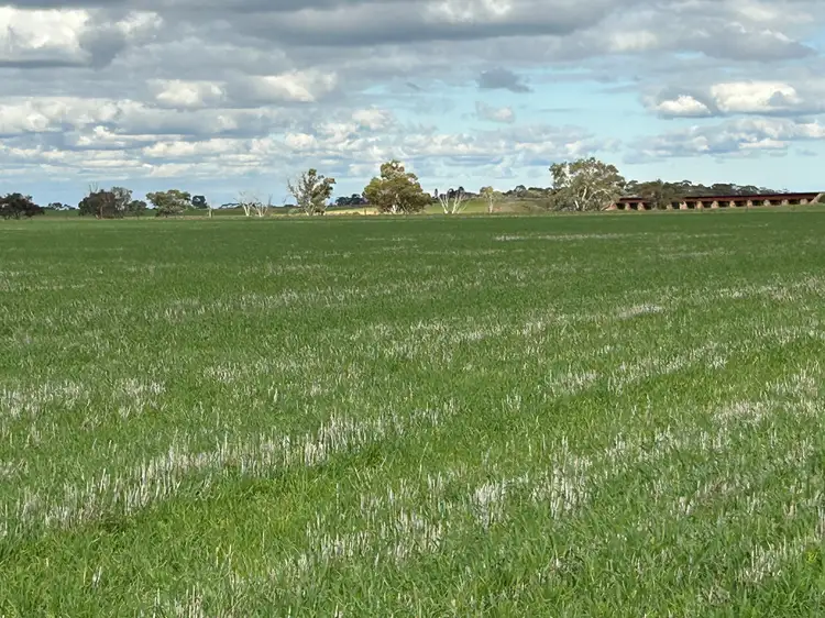 Main view of Homely rural property listing, 427 Borlace Road, Bowmans SA 5550