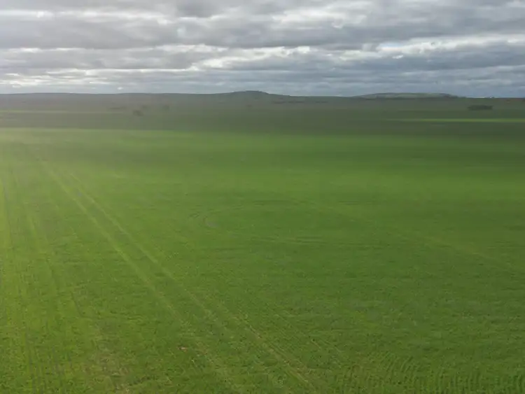 Second view of Homely rural property listing, 427 Borlace Road, Bowmans SA 5550
