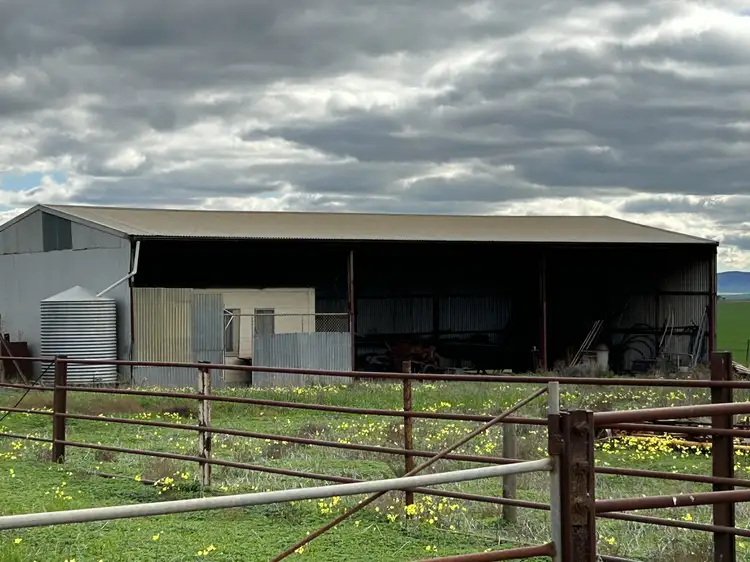 Third view of Homely rural property listing, 427 Borlace Road, Bowmans SA 5550