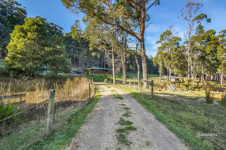 Second view of Homely house listing, 159 White Hills Road, Penguin TAS 7316
