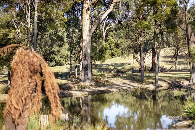 Fourth view of Homely house listing, 159 White Hills Road, Penguin TAS 7316