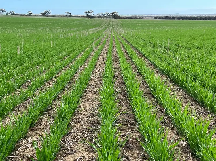 SOLD 'Carinya' 12200 Great Eastern Hwy, Cunderdin WA 6407