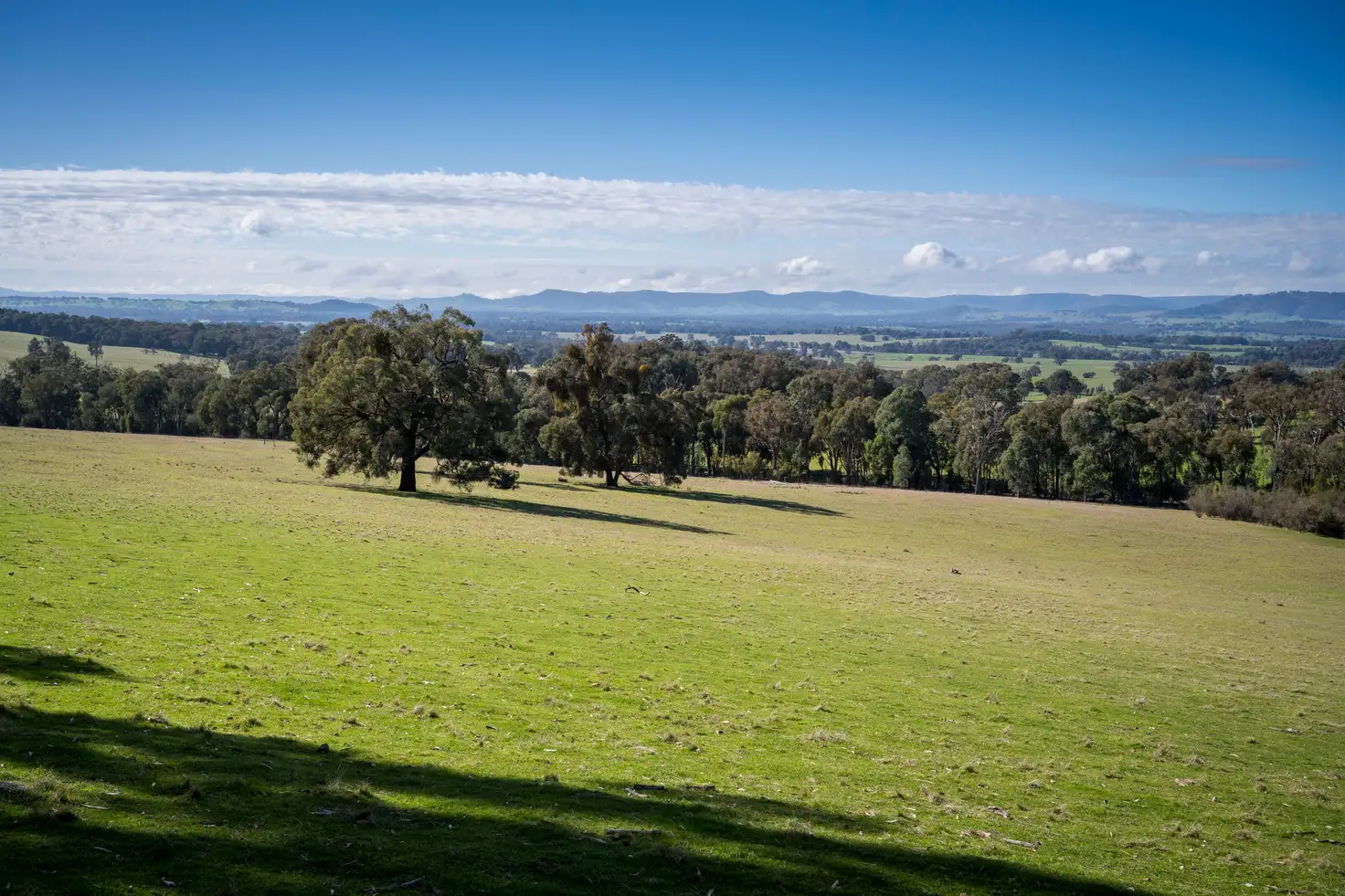 Main view of Homely rural property listing, CA79 Police Track, Lima VIC 3673