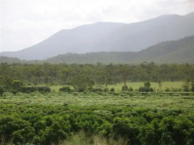 Third view of Homely rural property listing, 847-849 Bahr Road, Giru QLD 4809