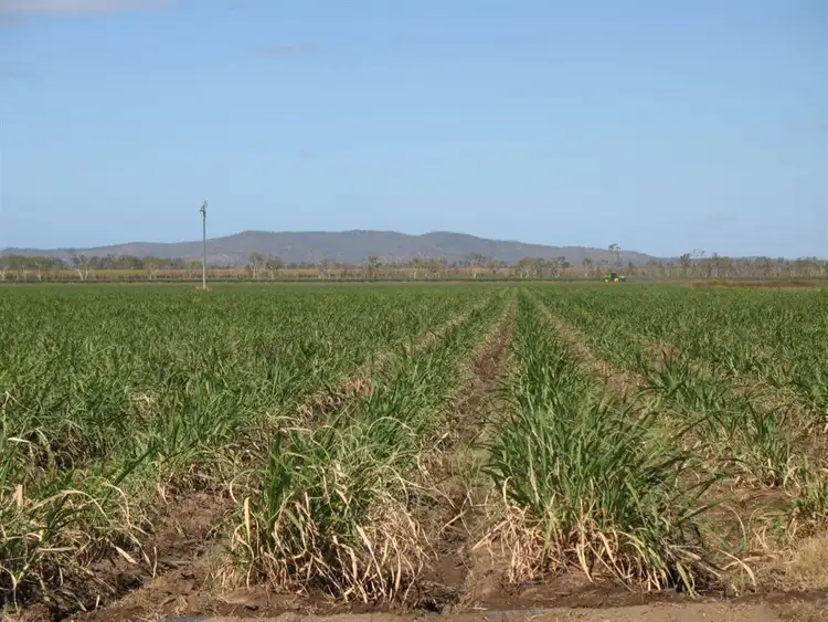 Seventh view of Homely rural property listing, 2521 Kirknie Road, Home Hill QLD 4806