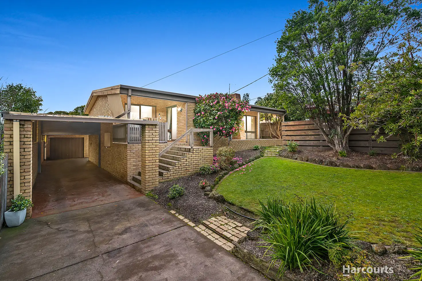 Main view of Homely house listing, 11 Rae Street, Templestowe Lower VIC 3107