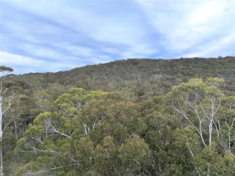 Second view of Homely rural property listing, Lot 113 Big Jack Mountain Road, Cathcart NSW 2632