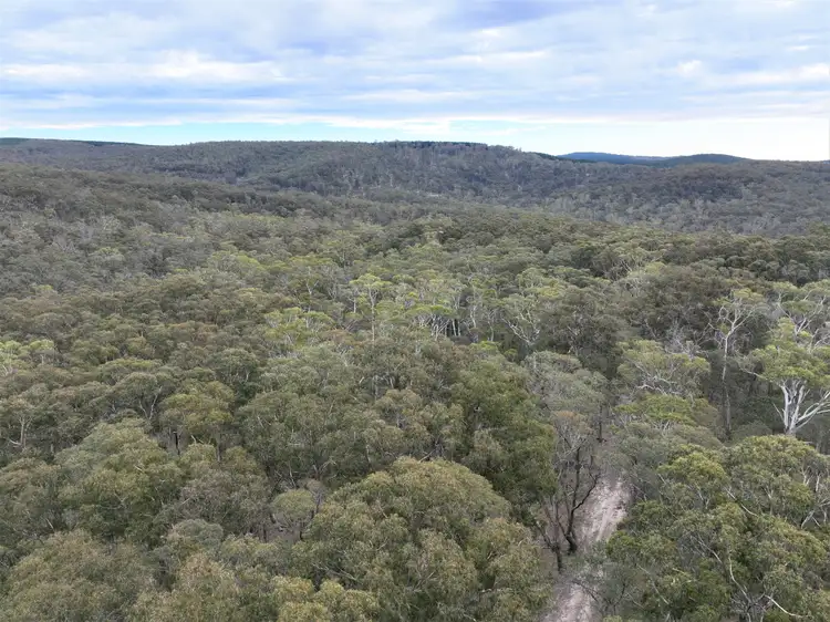 Fourth view of Homely rural property listing, Lot 113 Big Jack Mountain Road, Cathcart NSW 2632
