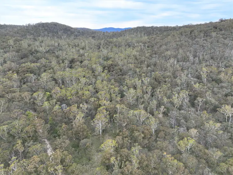 Fifth view of Homely rural property listing, Lot 113 Big Jack Mountain Road, Cathcart NSW 2632