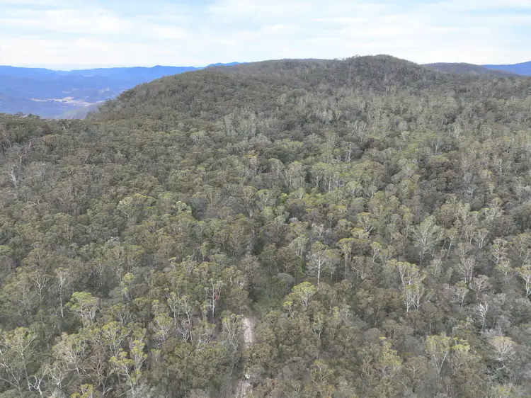 Seventh view of Homely rural property listing, Lot 113 Big Jack Mountain Road, Cathcart NSW 2632