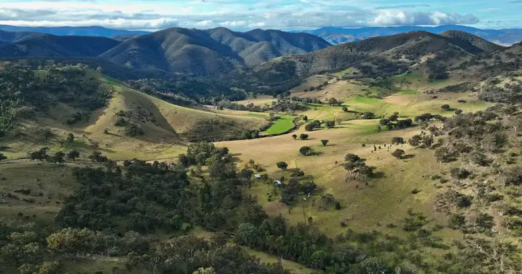 296 Rileys Creek Road, Swifts Creek VIC 3896