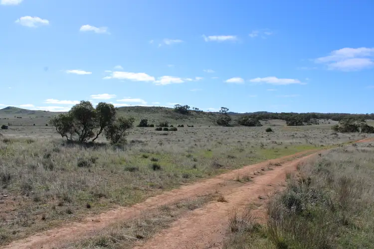 Main view of Homely rural property listing, Lot 48 & 49 Philps Road, Minvalara SA 5422