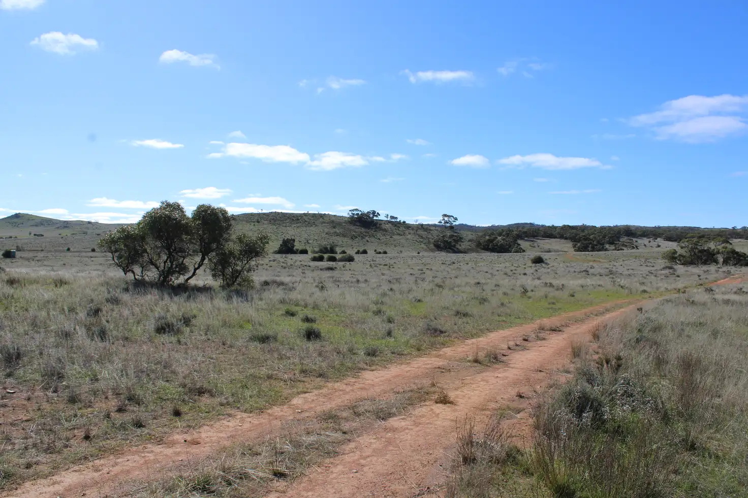Main view of Homely rural property listing, Lot 48 & 49 Philps Road, Minvalara SA 5422