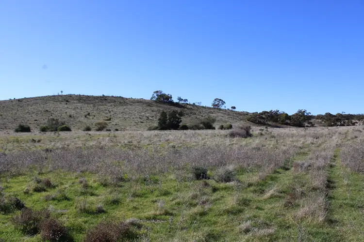 Second view of Homely rural property listing, Lot 48 & 49 Philps Road, Minvalara SA 5422