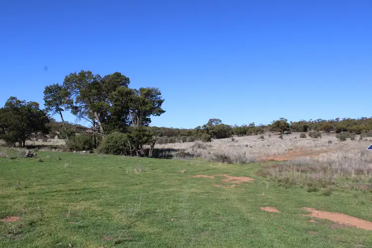 Fourth view of Homely rural property listing, Lot 48 & 49 Philps Road, Minvalara SA 5422