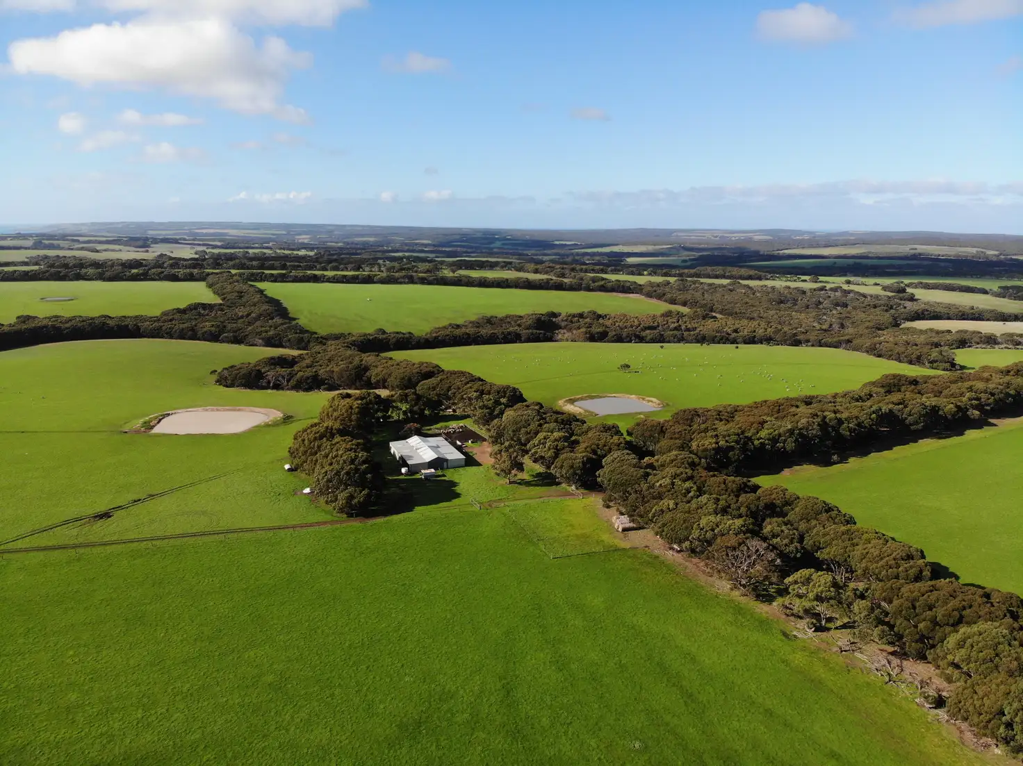 Main view of Homely rural property listing, 354 Moffatt, Dudley East SA 5222
