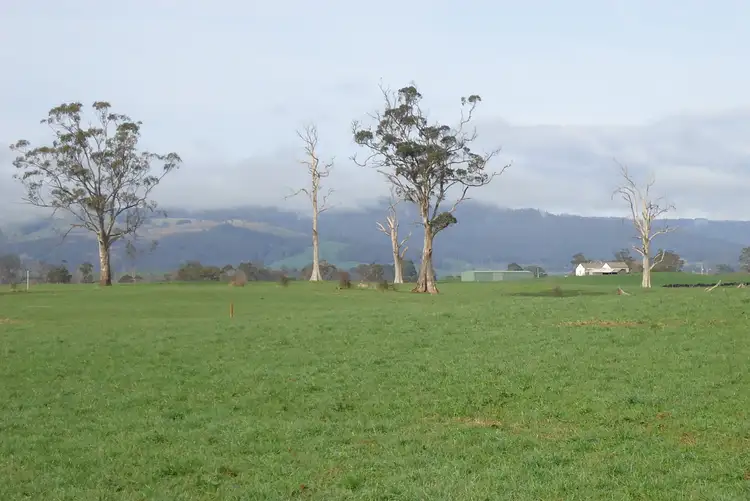 261 Ringarooma Road, Ringarooma TAS 7263