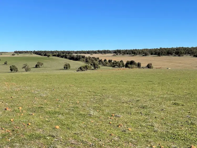 Second view of Homely rural property listing, 201 Mahomet Road, Dandaragan WA 6507